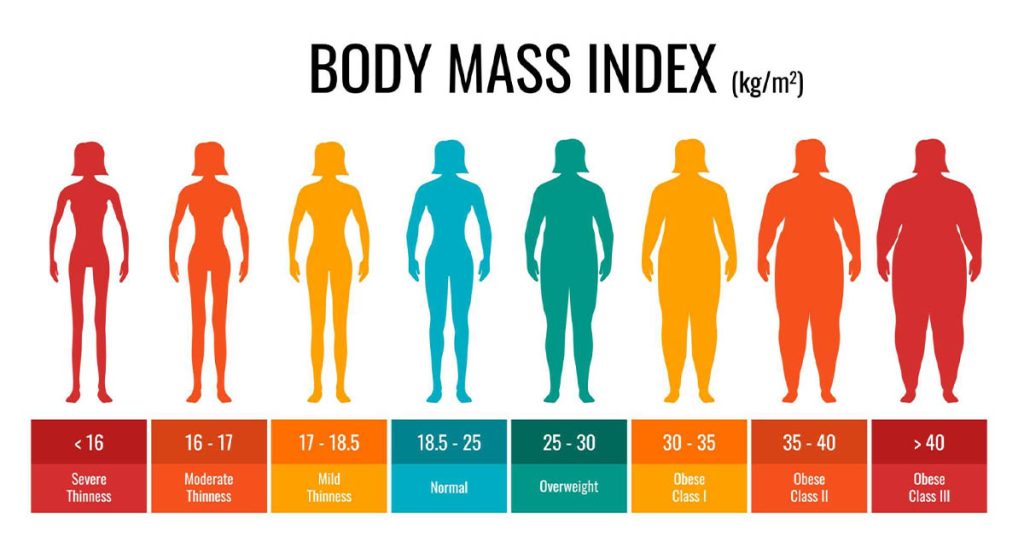 BMI Calculator Diet Health Exercises