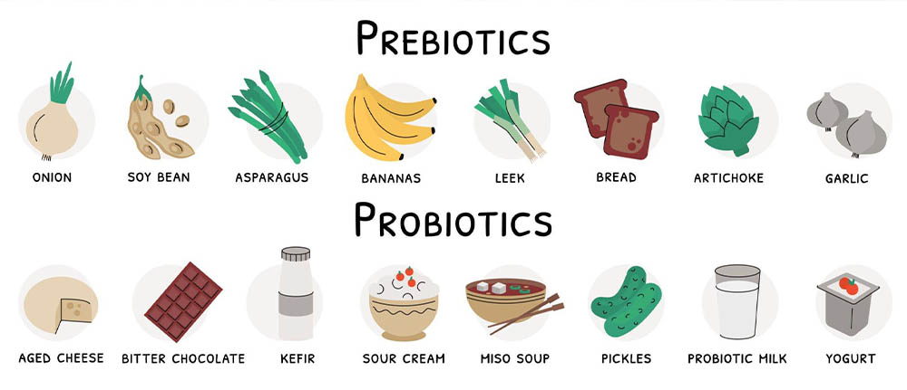 Consume Probiotics and Prebiotics
