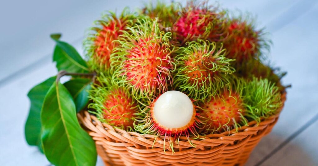 Unlocking the Health Benefits of Rambutan