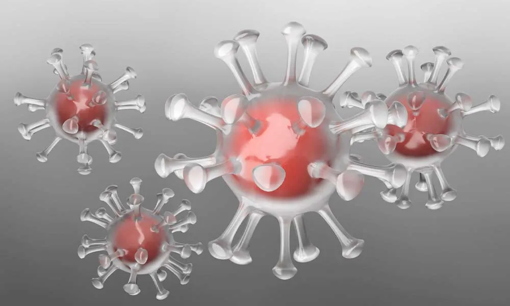 Studies and research on new COVID symptoms
