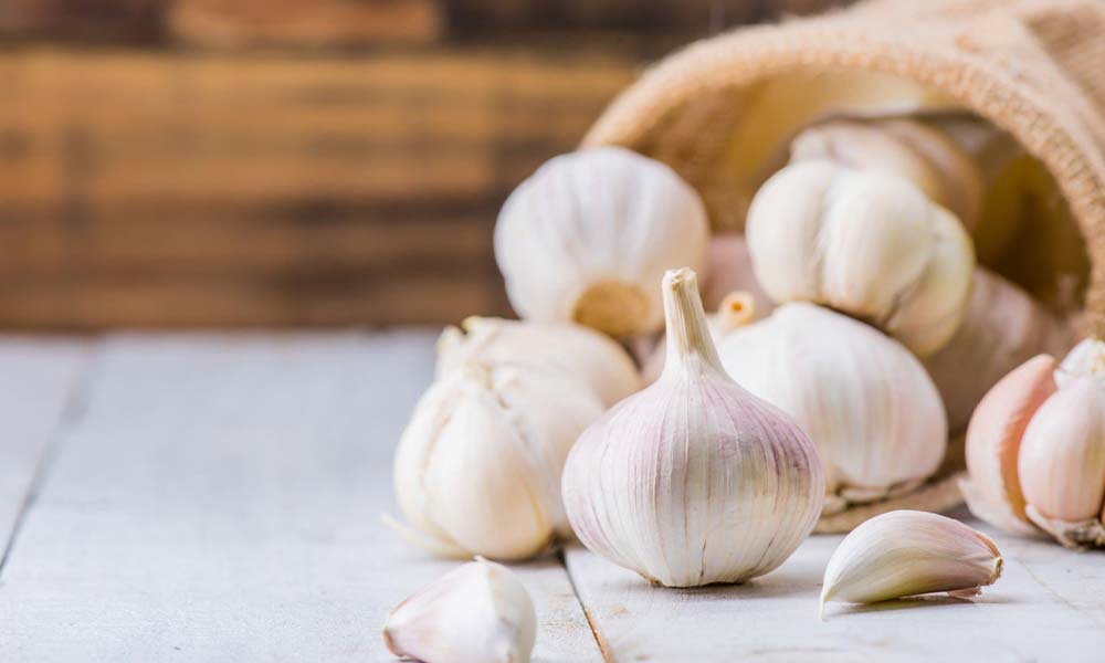 The Science Behind Garlic's Immune-Boosting Properties